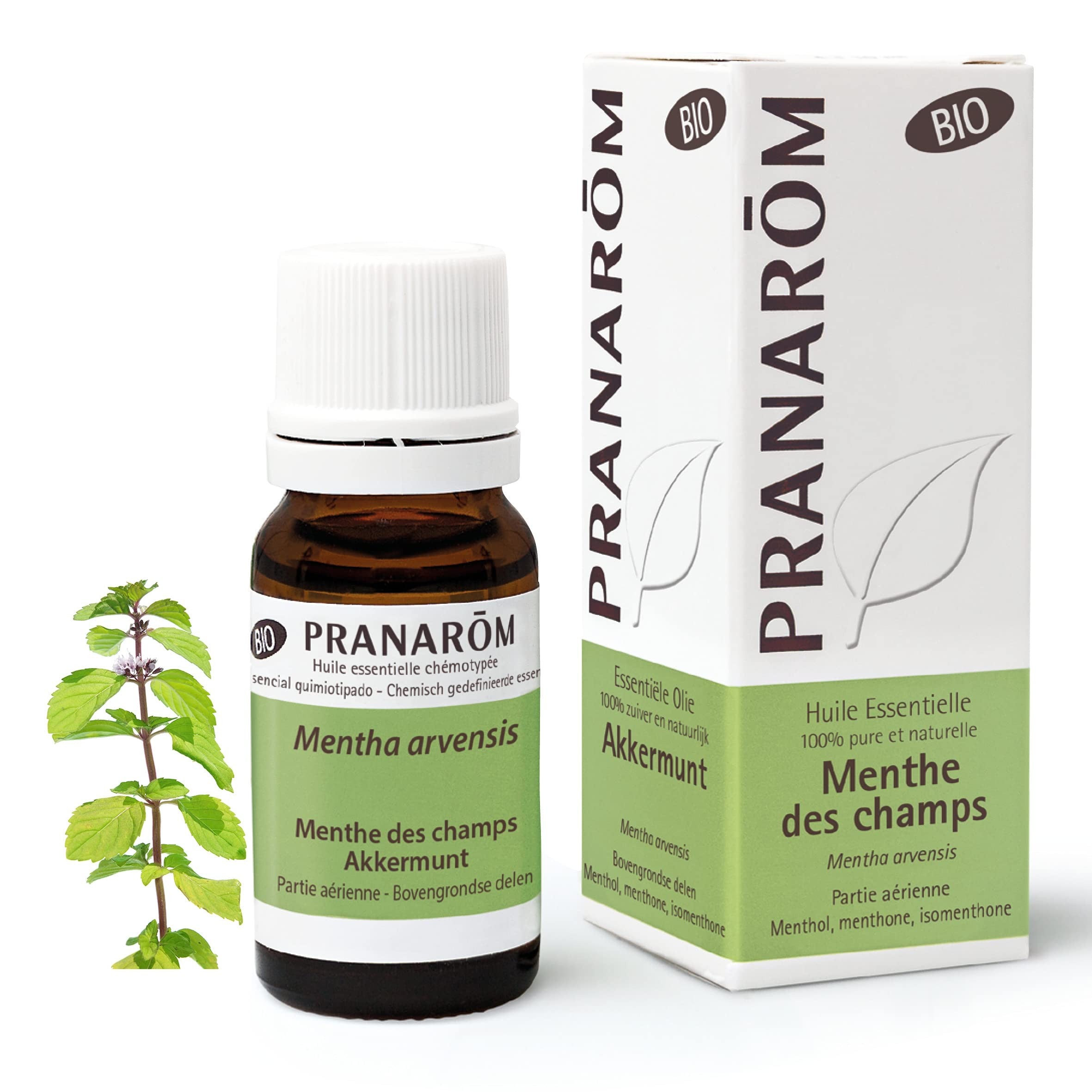 Pranarom Menta De Campo Partes Aéreas Bio 10 ml